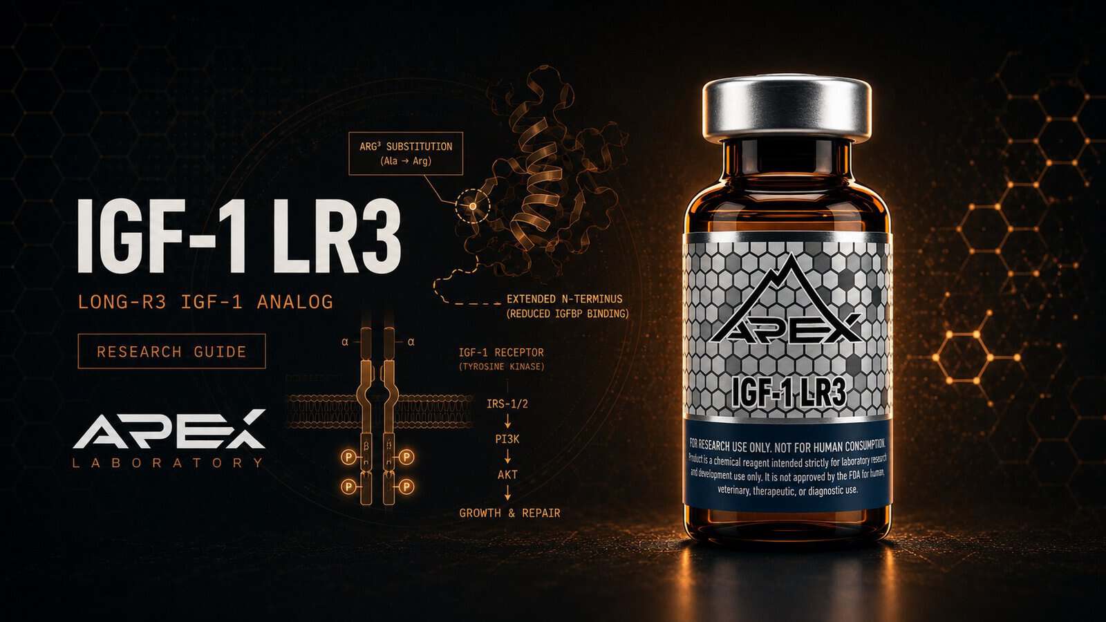 IGF-1 LR3 Research Guide: Structure & Mechanism